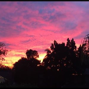 Meet your Posher, Maral